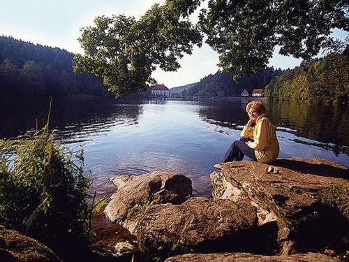 a woman sitting on a rock next to a lake at Family- friendly apartment in bavarian forest in Prackenbach