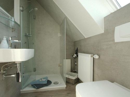 a bathroom with a shower and a sink at Lüerßen directly by the sea apartment 7 in Steinhude