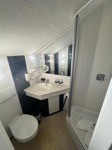 uma casa de banho com um WC, um lavatório e um chuveiro em Landhotel Alte Post em Oberstaufen
