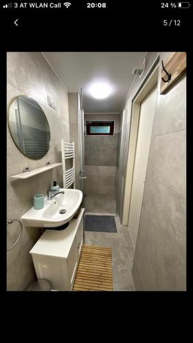 a bathroom with a sink and a toilet and a shower at Tannenhof Apartment in Steinhaus am Semmering