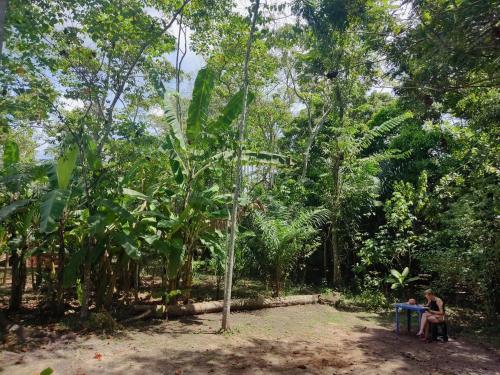 a person sitting at a table in a forest at Hostel AYA-NI in Pucallpa