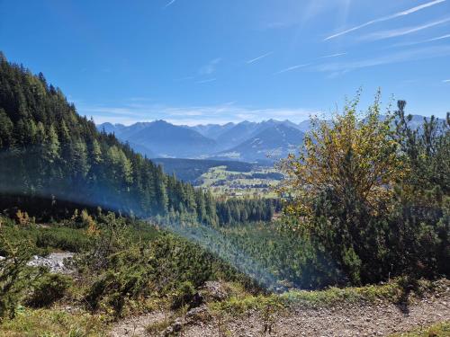 a view of a valley with trees and mountains at Romantikapartment mit Sommercard in Ramsau am Dachstein