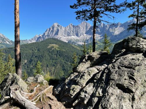 a large rock with trees and mountains in the background at Romantikapartment mit Sommercard in Ramsau am Dachstein