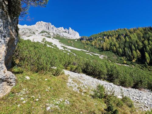 a view of a mountain with trees and rocks at Romantikapartment mit Sommercard in Ramsau am Dachstein
