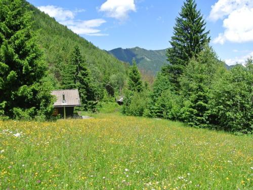 a field with a house in the middle of a mountain at The Karl Anton Hütte in Bodental