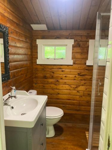 a bathroom with a toilet and a sink at 3bears Log Cabin Whatstandwell Matlock Derbyshire in Crich
