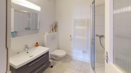 シュクオルにあるChasa Silvrettaのバスルーム(トイレ、洗面台、シャワー付)