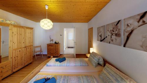 Chasa Silvretta
