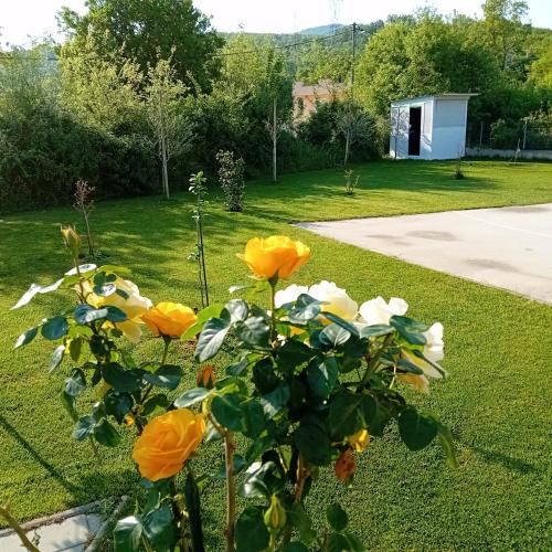 Κήπος έξω από το Villa Lila