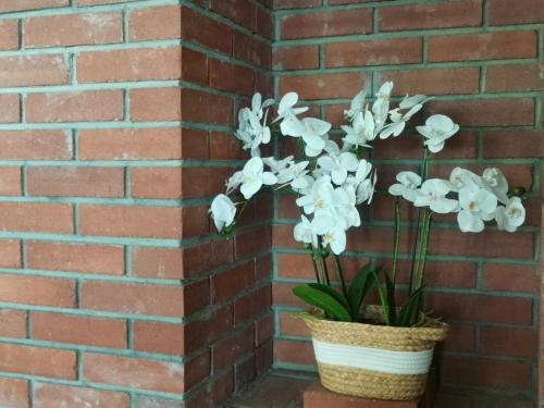 a basket of white flowers in a brick wall at Dió vendégház in Praid