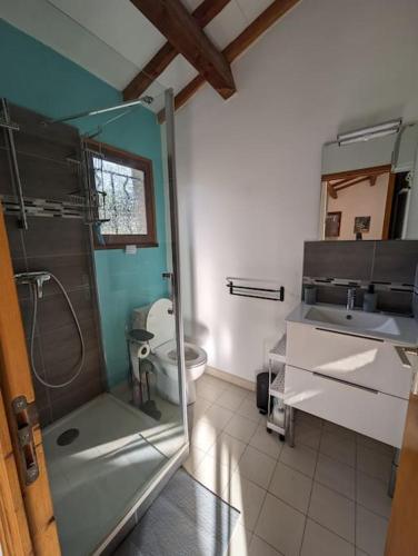 une salle de bain avec une douche, un lavabo et des toilettes dans l'établissement Petite Maison terrasse privée St Martin d'Ardèche, à Saint-Martin-dʼArdèche