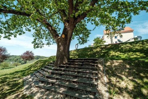 a tree on top of a hill with stairs at Das Eisenberg in Sankt Martin an der Raab