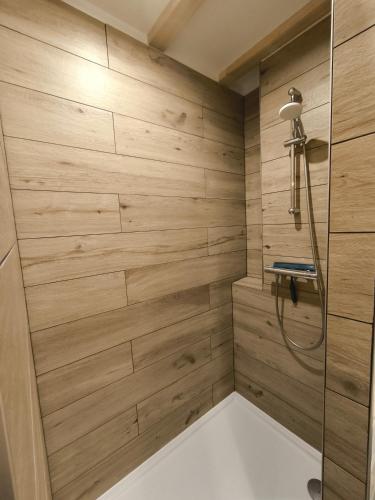 La salle de bains est pourvue d'une douche et de murs en bois. dans l'établissement Cocon de caractère au cœur des vignes Alsaciennes, à Bergheim
