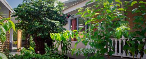 ein Haus mit einem Fenster und Pflanzen davor in der Unterkunft Pare LODGE TAHITI in Pirae