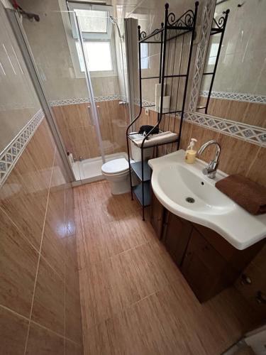 ein Bad mit einem Waschbecken, einem WC und einer Dusche in der Unterkunft Apartamento frente al Mar - Pedregalejo in Málaga