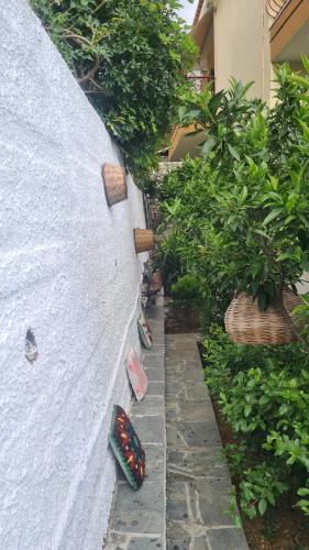 a garden with a white wall and some plants at stratigato in Chios