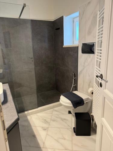 Thetis deluxe apartment Naousa