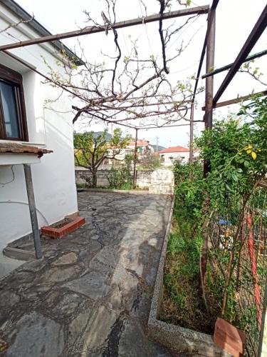 Foto ΠΑΡΑΔΟΣΙΑΚΗ ΚΑΤΟΙΚΙΑ 6