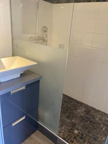 une salle de bain avec un lavabo et une douche en verre dans l'établissement Cannes appt 4 pers 6N, à Cannes