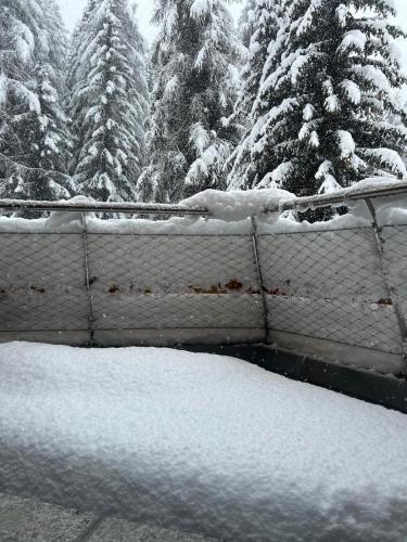 a fence covered in snow in front of trees at Appartamenti Larice Pila in Pila