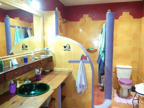 ein Badezimmer mit einem Waschbecken, einem WC und einem Spiegel in der Unterkunft A peaceful country house in Tenerife in Fasnia
