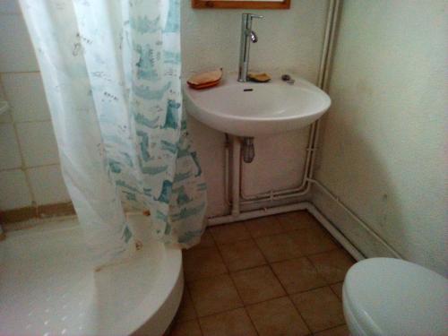 La salle de bains est pourvue d'un lavabo, de toilettes et d'un rideau de douche. dans l'établissement Ancien café des années 30, à Bélesta