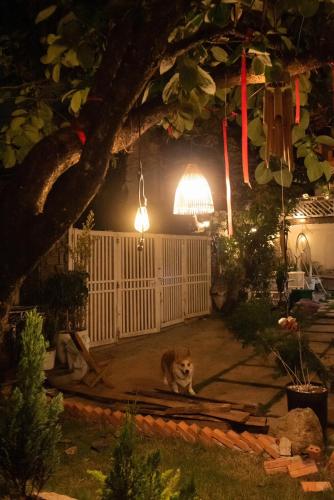 Taman di luar Chái Nho Homestay
