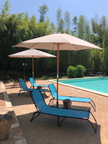 two chairs and an umbrella next to a pool at Radius Horse Ranch B&B in Massa Martana