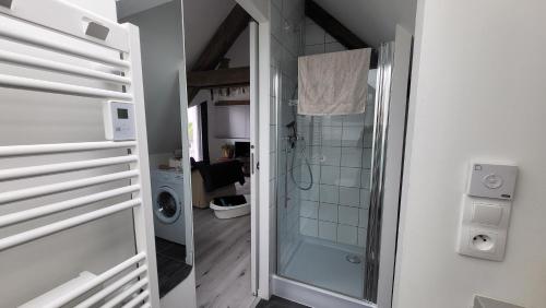uma casa de banho com um chuveiro e uma porta de vidro em Au Gré de L'Ill "Les toits d'Horbourg" em Horbourg