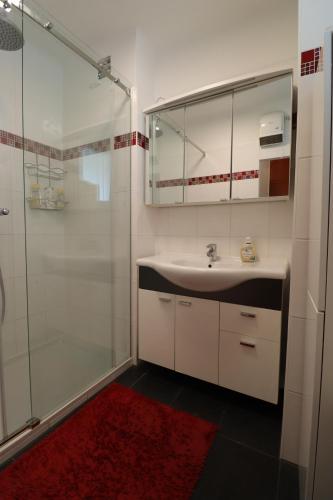 uma casa de banho com um lavatório e um chuveiro com um espelho. em Exclusive serviced flat on Taborstraße em Viena