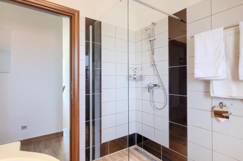 a bathroom with a shower with a glass door at Villa Lara 1 in Ližnjan