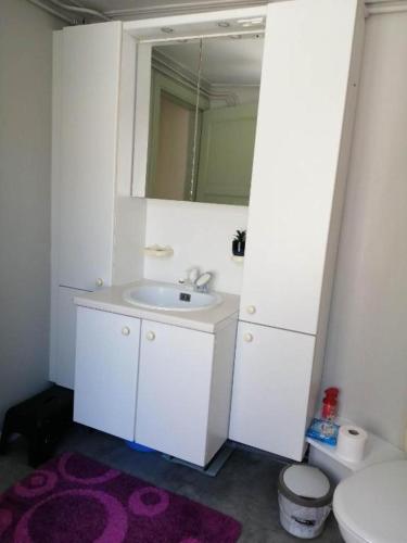 uma casa de banho com um lavatório, um espelho e um WC. em Simpele slaapkamer Geraardsbergen em Geraardsbergen