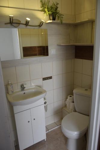 a bathroom with a sink and a toilet at Apartament Czos Przy S16 in Mrągowo