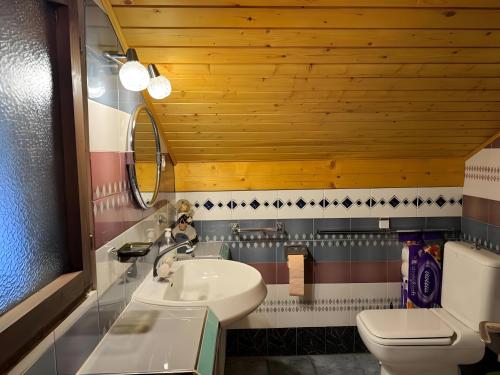 łazienka z umywalką i toaletą w obiekcie Apartment Ana with a Charming Jacuzzi w mieście Veliki Komor