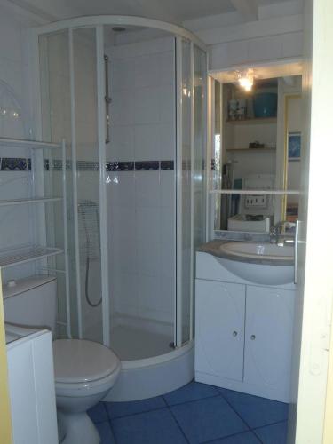 une salle de bain avec une douche, des toilettes et un lavabo dans l'établissement STUDIO MEZ 25M2 + TERRASSE 6m2 REF 4014, à Le Castellas