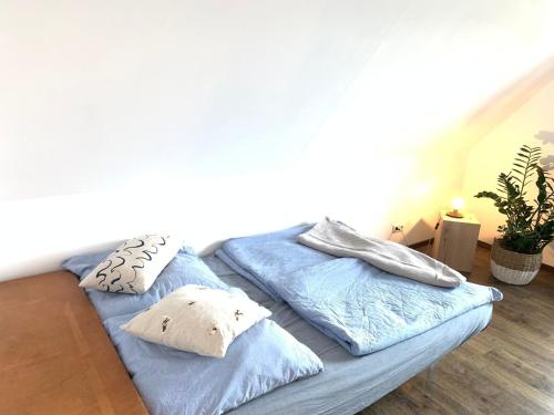 twee bedden in een kamer met blauwe lakens en kussens bij Casa Marcu Wohnung 1 OG in Landkirchen