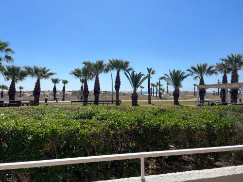 a park with palm trees and a white fence at Pensión La Ola in Grao de Castellón