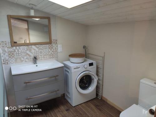 une salle de bain avec une machine à laver et un lavabo dans l'établissement Gîte Les Cardoux, à Monguyard