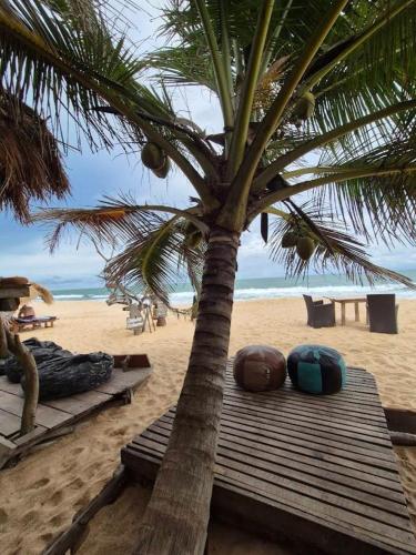 a palm tree sitting on a beach next to a beach at Cinnabar Resort in Tangalle