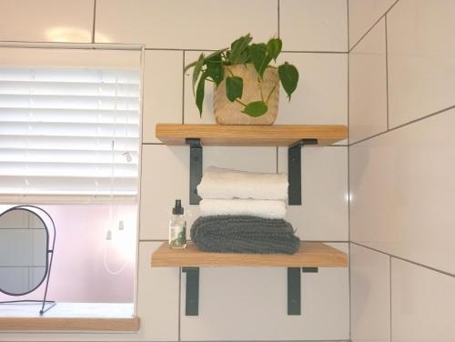 ein Badezimmer mit einem Regal mit Handtüchern und einer Pflanze in der Unterkunft Willows Garden Cottage in Pretoria