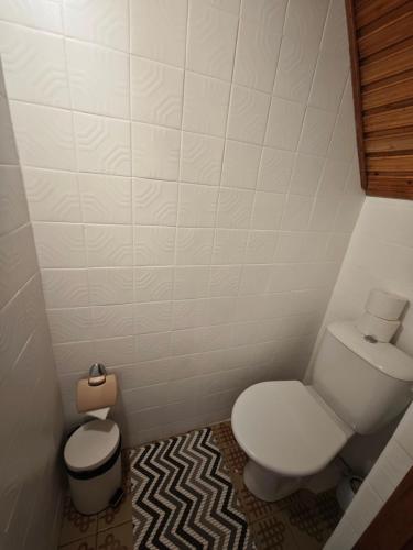 a small bathroom with a toilet and a trash can at Mini Kotedžas Vakaris in Nida