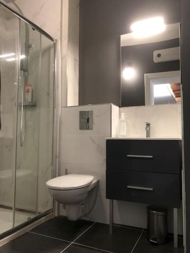 une salle de bain avec toilettes et douche en verre dans l'établissement Un gîte sur une île, à Saint-Bonnet-de-Rochefort