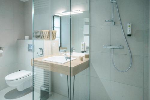 bagno con lavandino, doccia e servizi igienici di Logis hôtel restaurant l'Argence a Sainte-Geneviève-sur-Argence