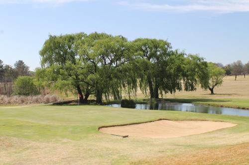 un campo de golf con un árbol y un estanque en Middelburg Country Club, en Middelburg