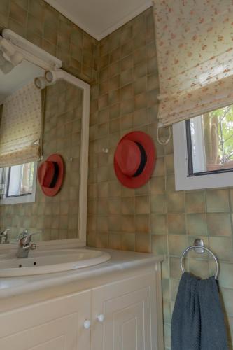 Private Pet Friendly Villa