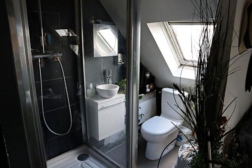 a small bathroom with a toilet and a shower at Le Mini Nas - Paris Centre in Paris
