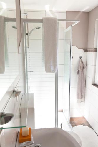 a bathroom with a shower and a sink at Bungalow mit Wintergarten in Seehof