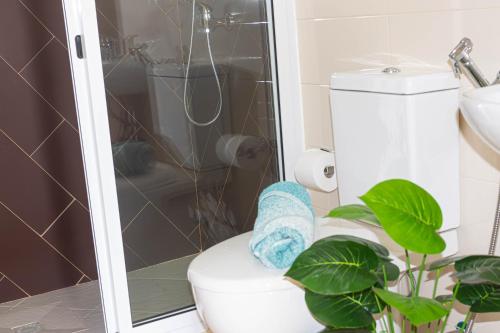 a bathroom with a shower and a toilet and a plant at Beauty Plaza Apartaments in Santa Maria