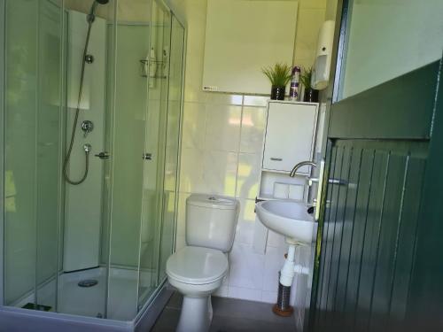 uma casa de banho com um WC, um lavatório e um chuveiro em Vrijheid caravan em Wallenborn
