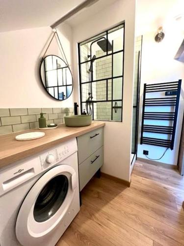 une machine à laver dans une salle de bain avec un lavabo dans l'établissement Le Jardin des Plantes, à Calais